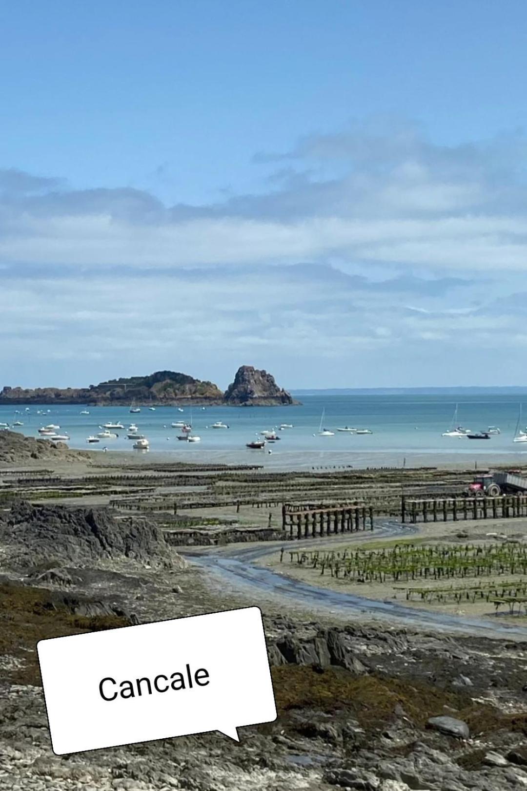 Gite Des Mezieres Brusvily 外观 照片