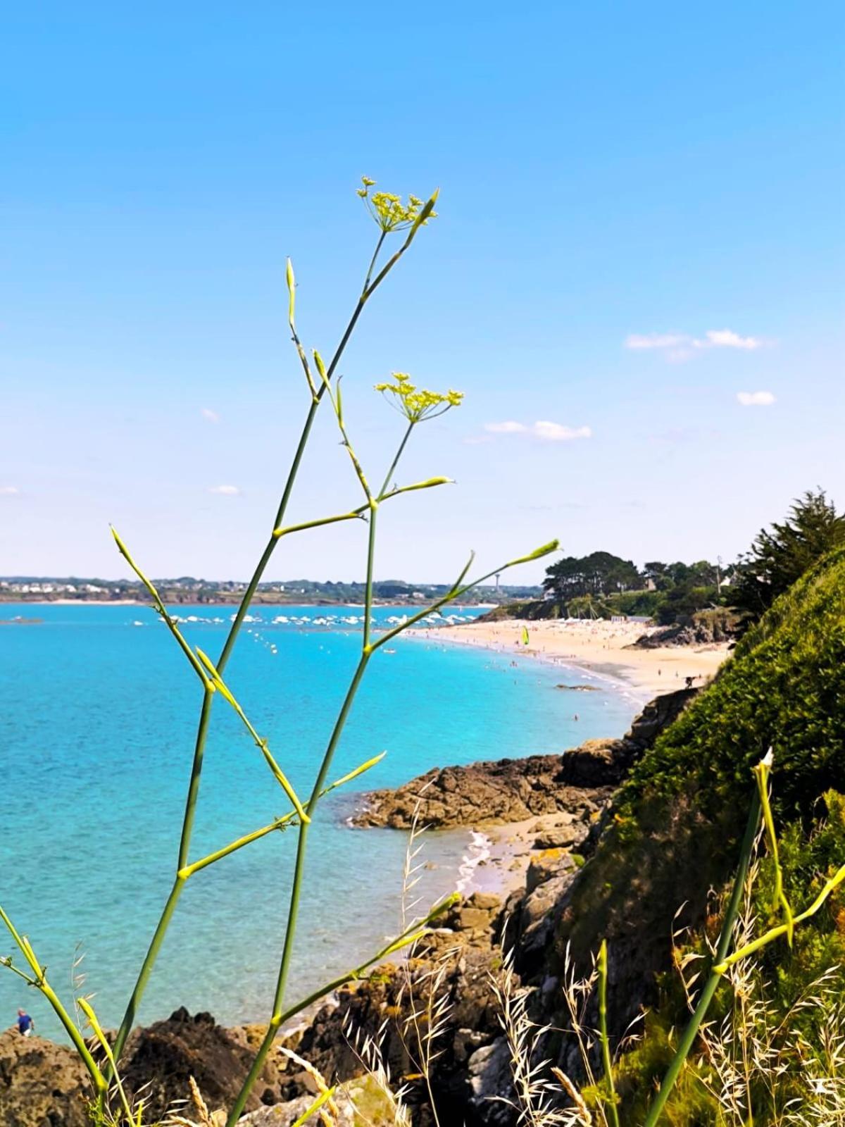 Gite Des Mezieres Brusvily 外观 照片